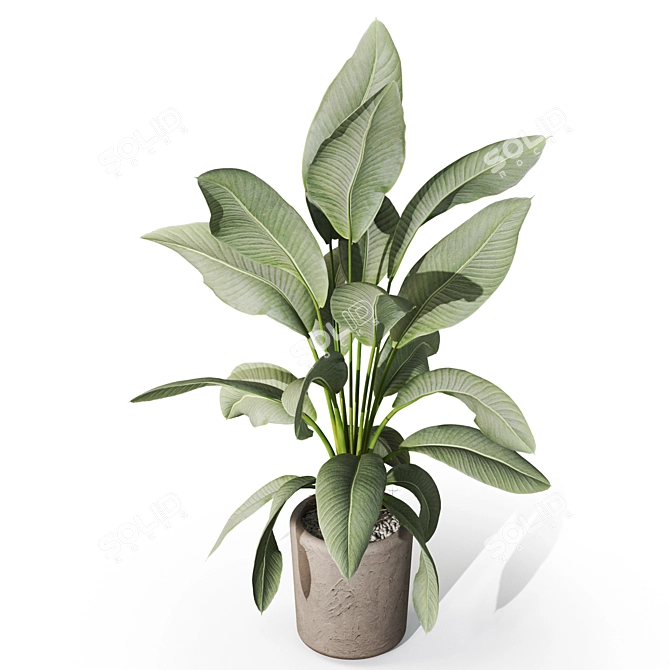 Botanic Delightful Greenery Bundle 3D model image 3