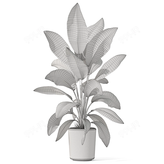 Botanic Delightful Greenery Bundle 3D model image 4