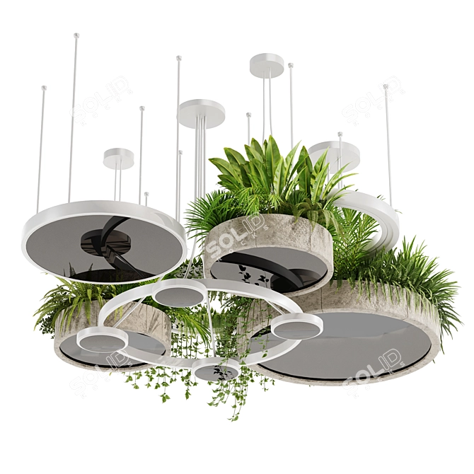 High-Quality Indoor Hanging Plant Set 3D model image 3