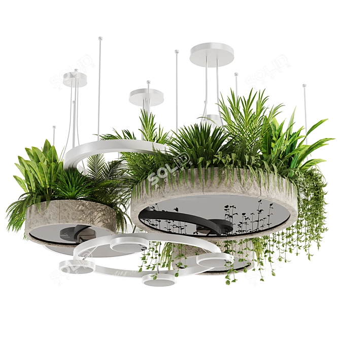 High-Quality Indoor Hanging Plant Set 3D model image 5