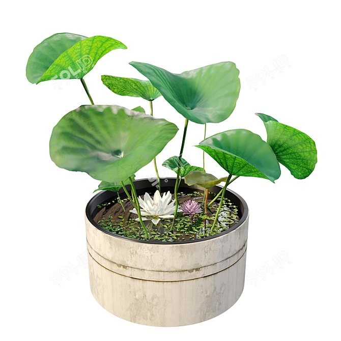 Water Lily Flowers Planter 3D model image 1