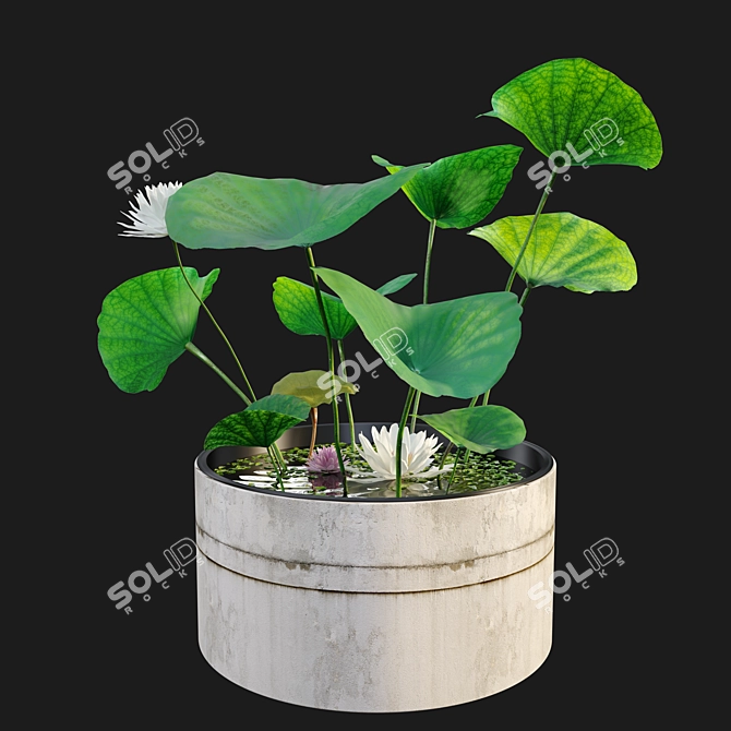 Water Lily Flowers Planter 3D model image 2