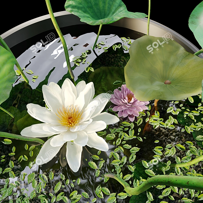 Water Lily Flowers Planter 3D model image 3