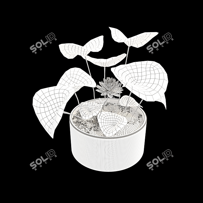 Water Lily Flowers Planter 3D model image 4