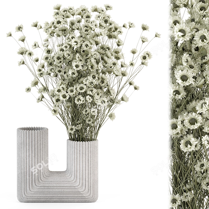 Dry Plants Bouquet Set 2015 3D model image 1