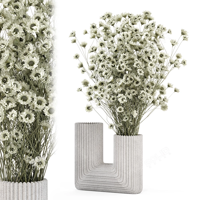 Dry Plants Bouquet Set 2015 3D model image 2