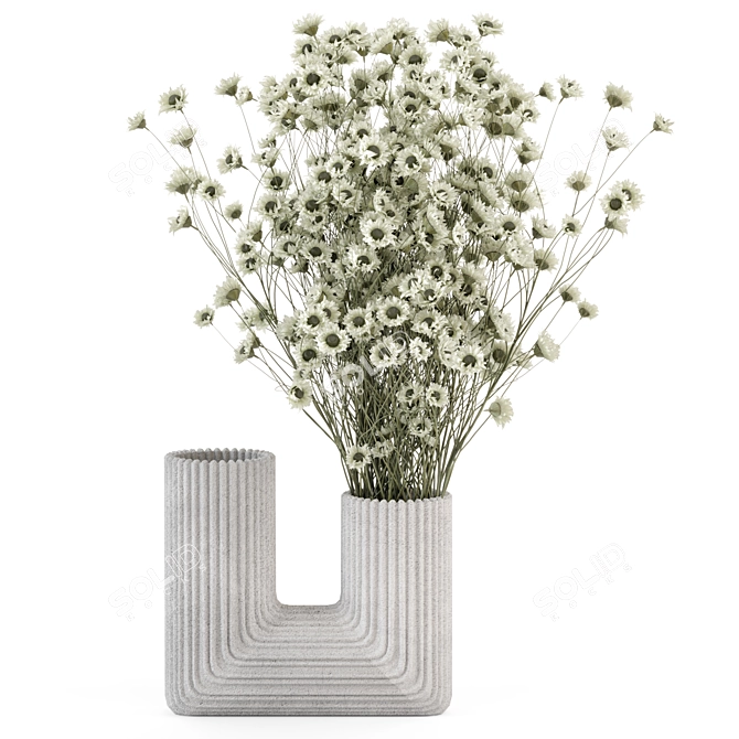 Dry Plants Bouquet Set 2015 3D model image 3