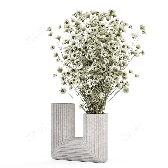 Dry Plants Bouquet Set 2015 3D model image 4