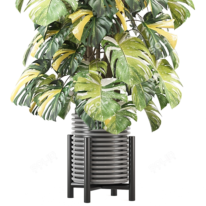  Indoor Plants Collection 2015 3D model image 2