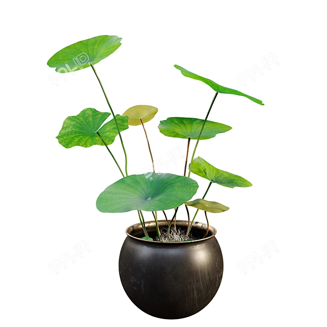 Twin Water Lily Planters 3D model image 2