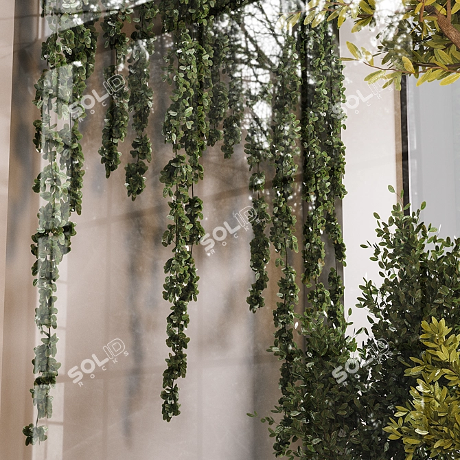 Glass Box Indoor Plant Display 3D model image 3