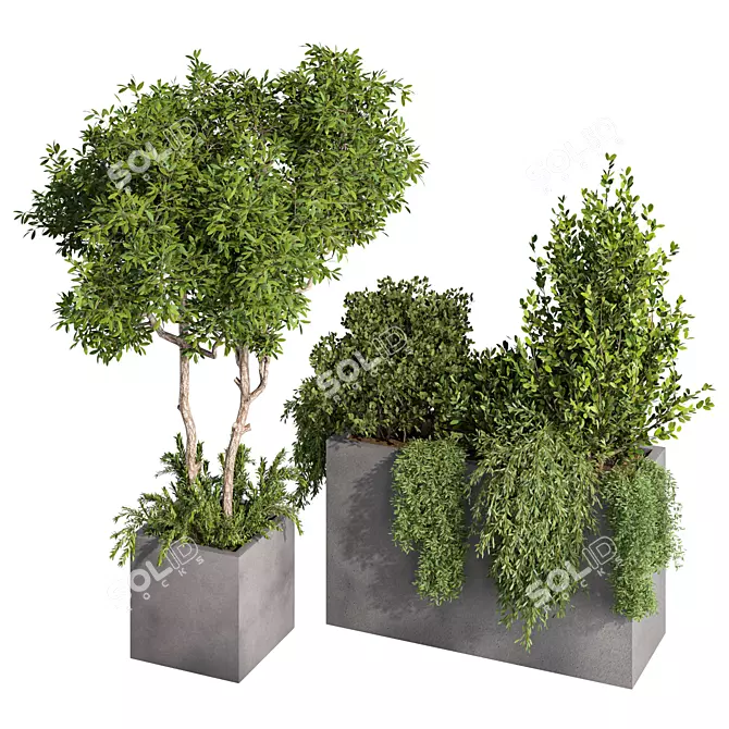 Rustic Garden Trio Set 3D model image 1