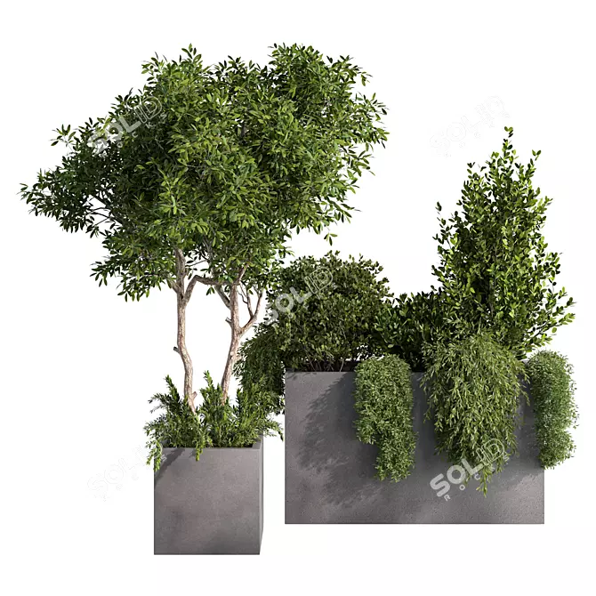 Rustic Garden Trio Set 3D model image 2