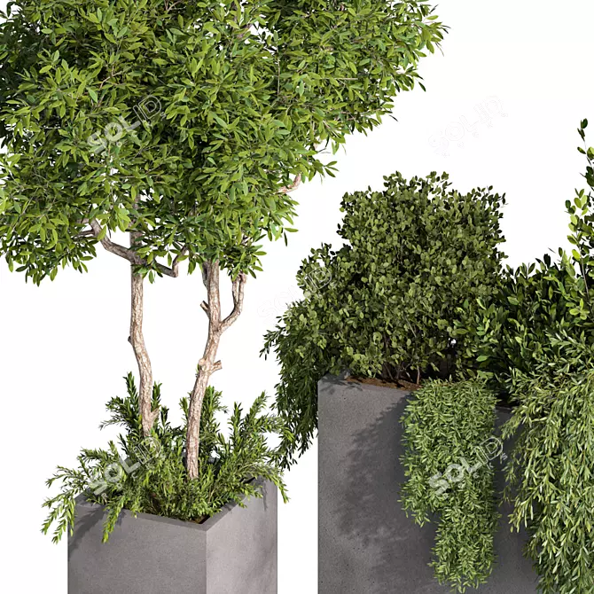 Rustic Garden Trio Set 3D model image 3