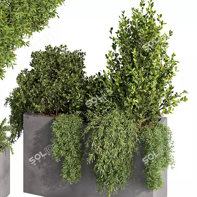 Rustic Garden Trio Set 3D model image 4