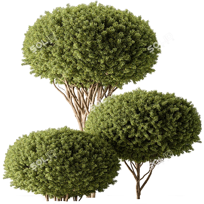 Assorted Foliage Set 142 3D model image 1