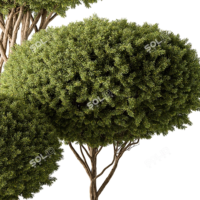 Assorted Foliage Set 142 3D model image 2