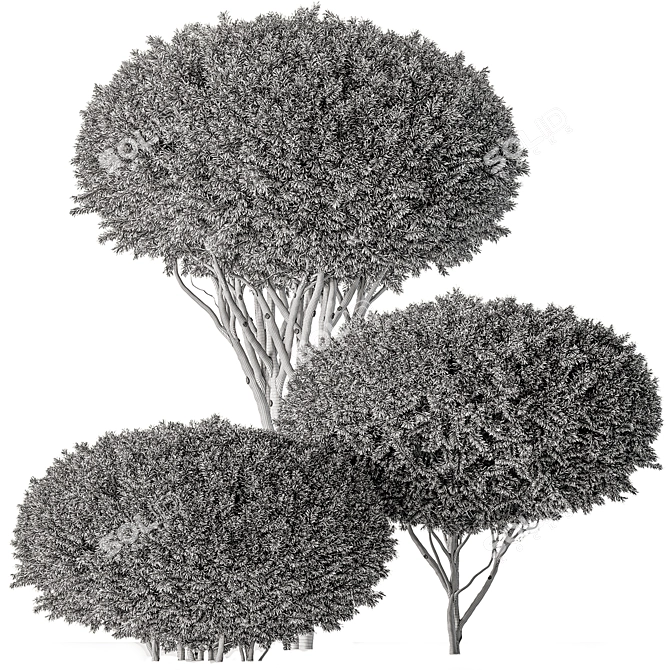 Assorted Foliage Set 142 3D model image 3