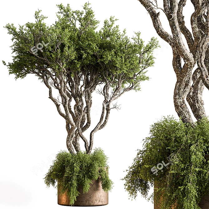 Botanical Beauty Tree in Pot 3D model image 1