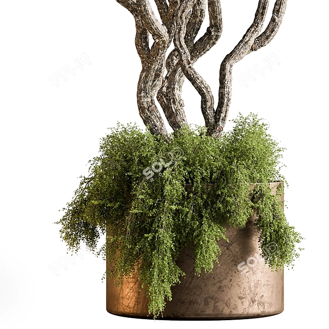 Botanical Beauty Tree in Pot 3D model image 2