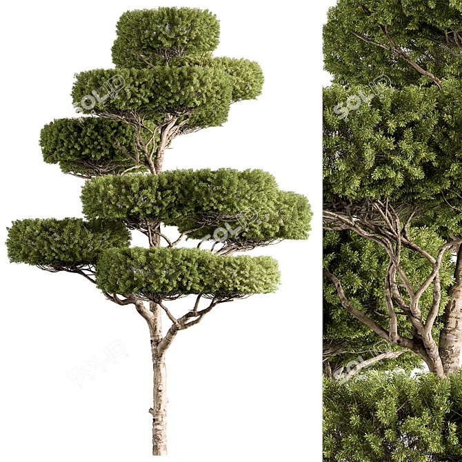 Sculpted Tree Duo - Set 308 3D model image 1