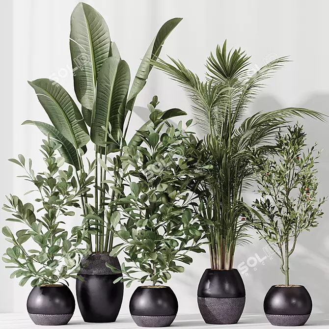 Modern Indoor Plant Set Model 3D model image 2