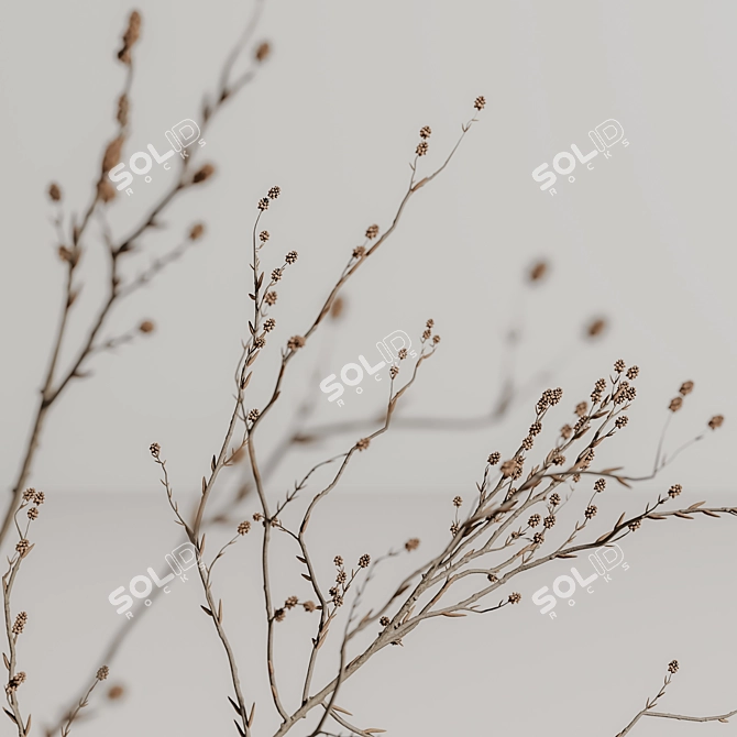 Elegant Decor Set for Renderings 3D model image 7