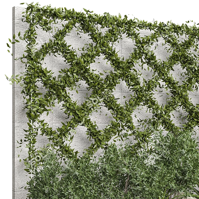 Outdoor Plant 2015 Collection 3D model image 2
