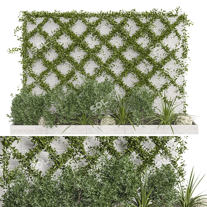 Outdoor Plant 2015 Collection 3D model image 3