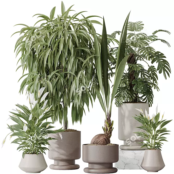 Indoor Plant Set Collection 3D 3D model image 1