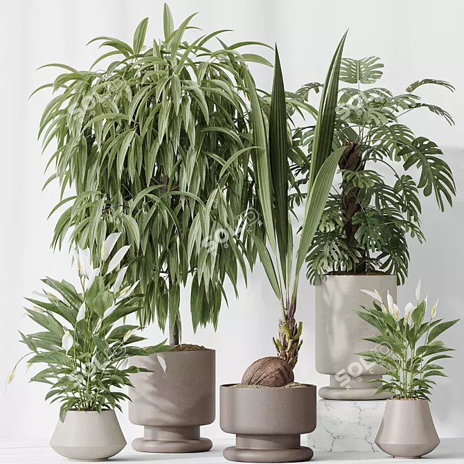 Indoor Plant Set Collection 3D 3D model image 2