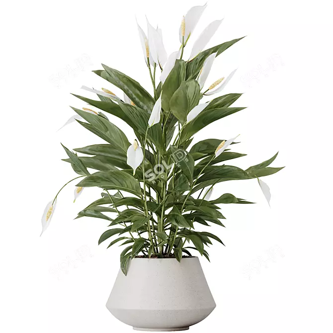 Indoor Plant Set Collection 3D 3D model image 3