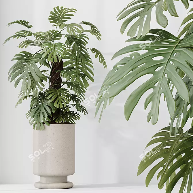 Indoor Plant Set Collection 3D 3D model image 4