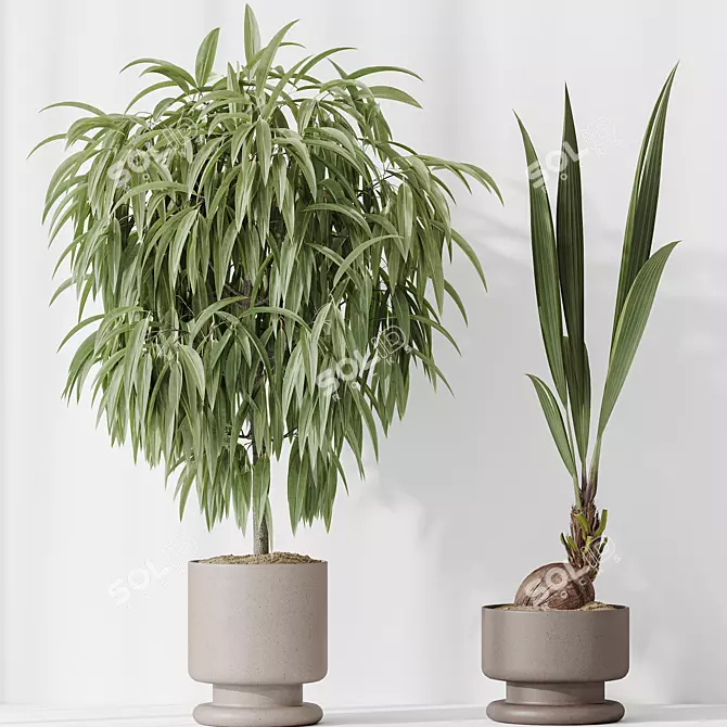 Indoor Plant Set Collection 3D 3D model image 5