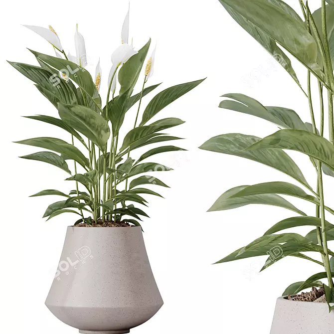 Indoor Plant Set Collection 3D 3D model image 6