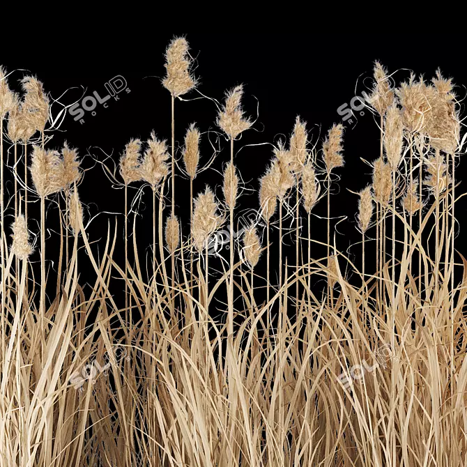 Wild Reed Plant 3D Model 3D model image 1