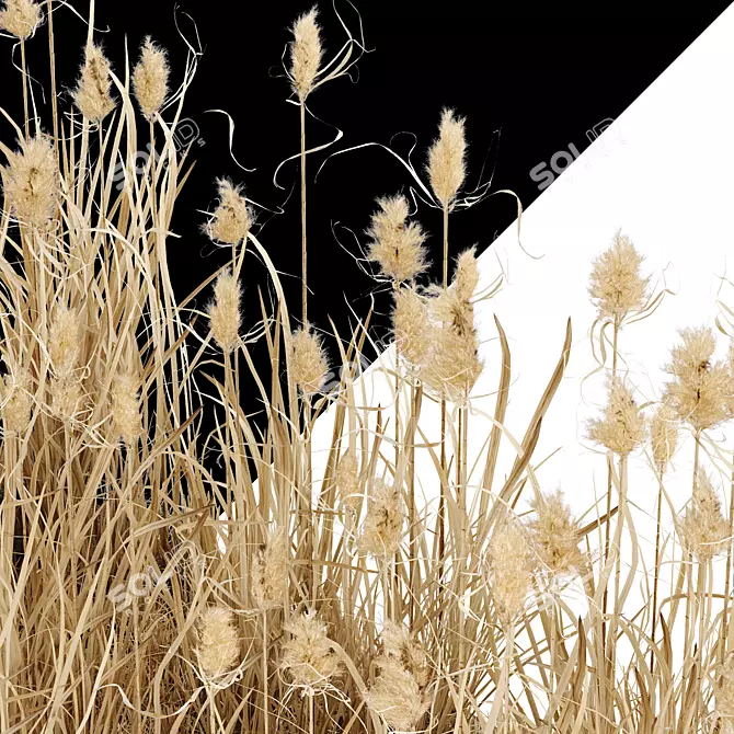 Wild Reed Plant 3D Model 3D model image 2