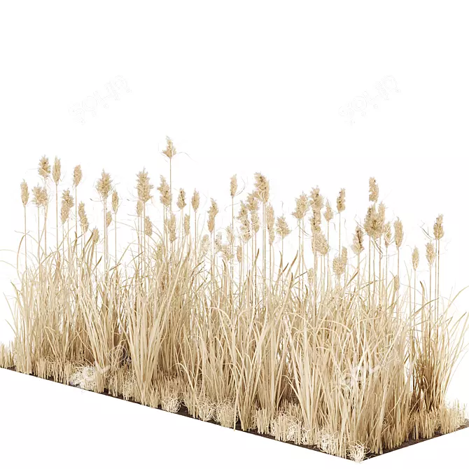 Wild Reed Plant 3D Model 3D model image 3