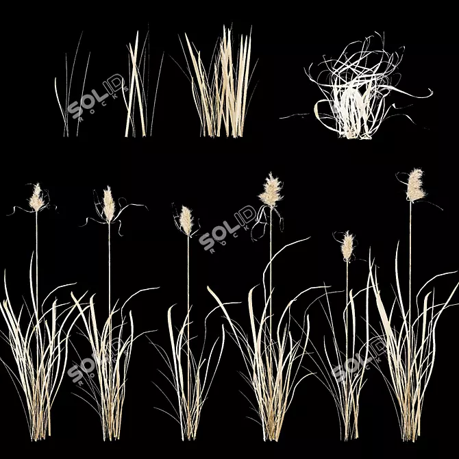 Wild Reed Plant 3D Model 3D model image 4