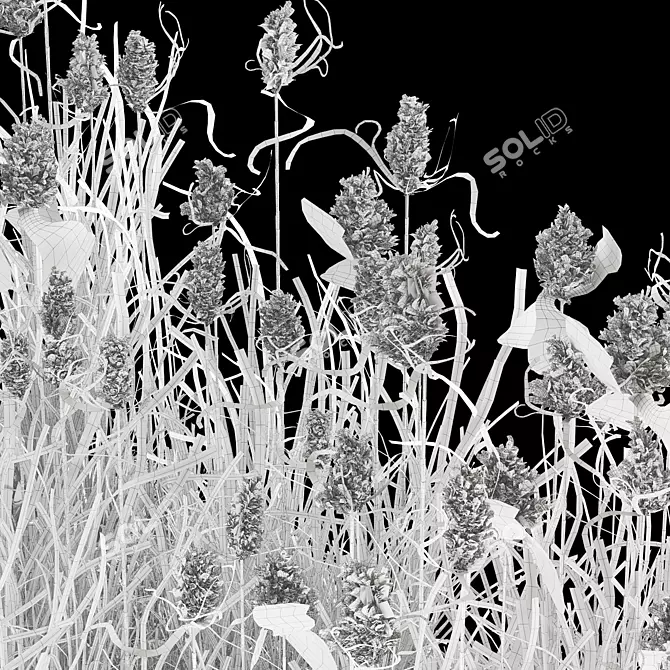 Wild Reed Plant 3D Model 3D model image 5