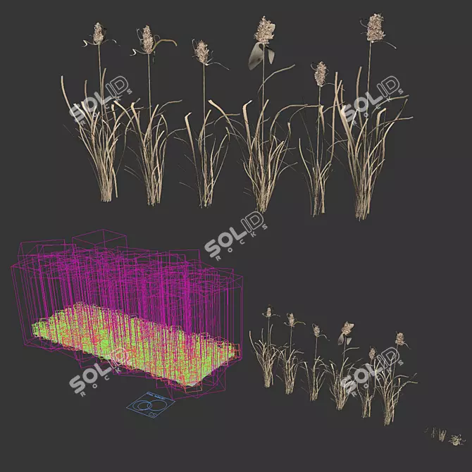 Wild Reed Plant 3D Model 3D model image 6