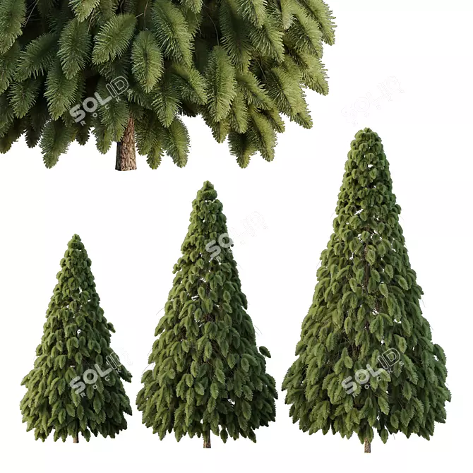 Trio Pin Tree 3D Models 3D model image 1
