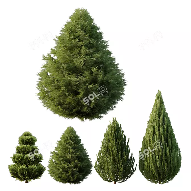 Variety Bush Models Collection 3D model image 1