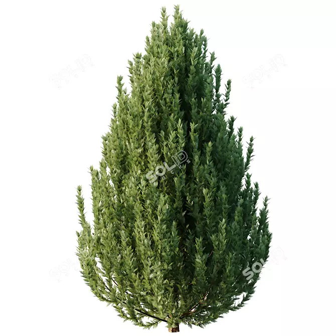 Variety Bush Models Collection 3D model image 3