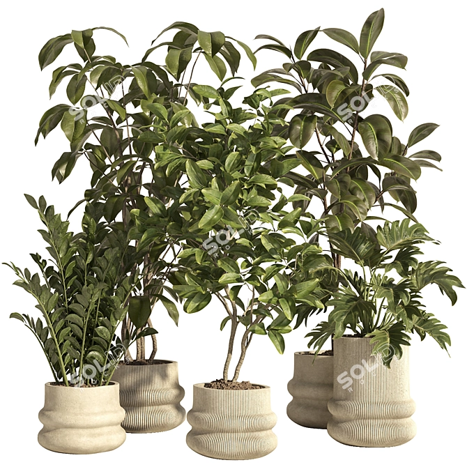 Modern Concrete Indoor Plant Set 3D model image 1