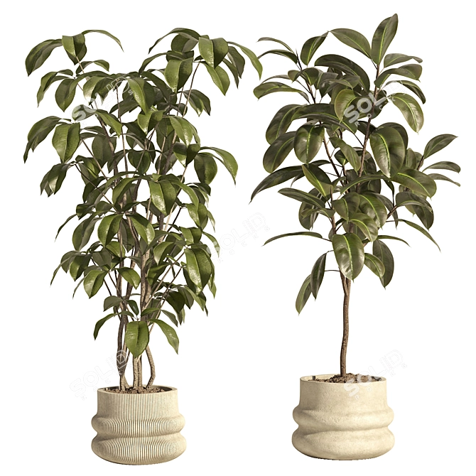 Modern Concrete Indoor Plant Set 3D model image 2