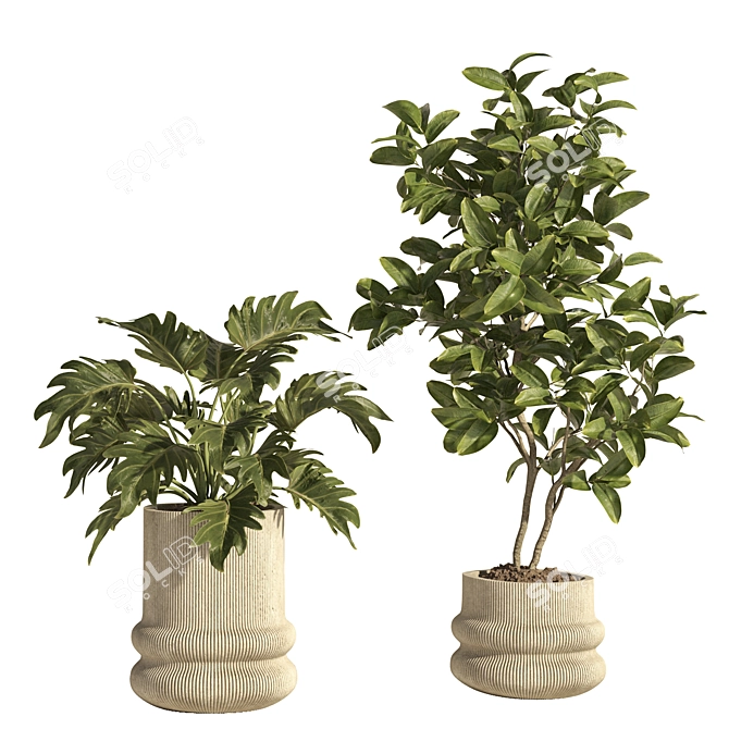 Modern Concrete Indoor Plant Set 3D model image 3