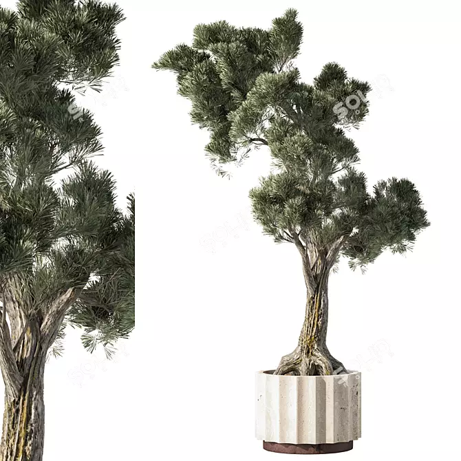 Lush Indoor Plant Set 3D model image 1