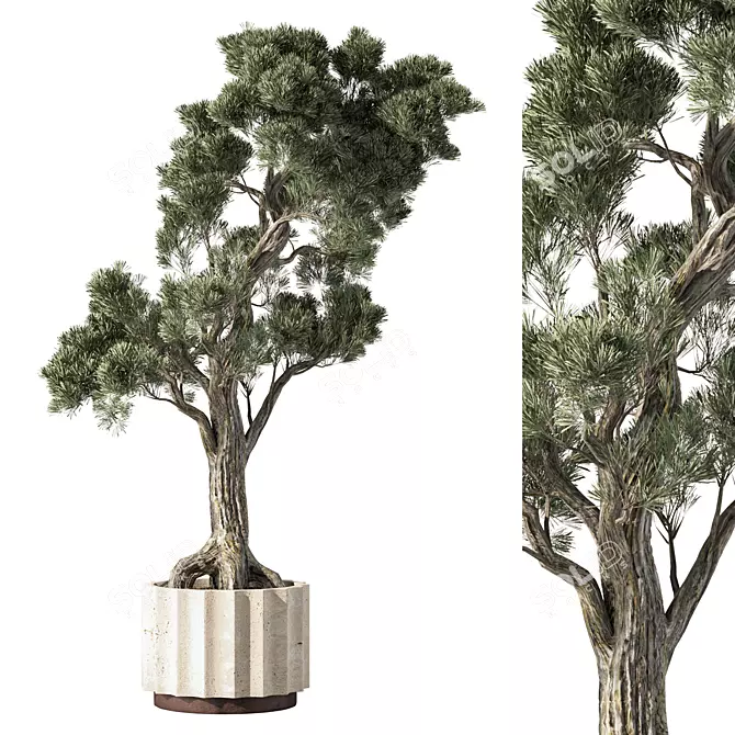 Lush Indoor Plant Set 3D model image 2