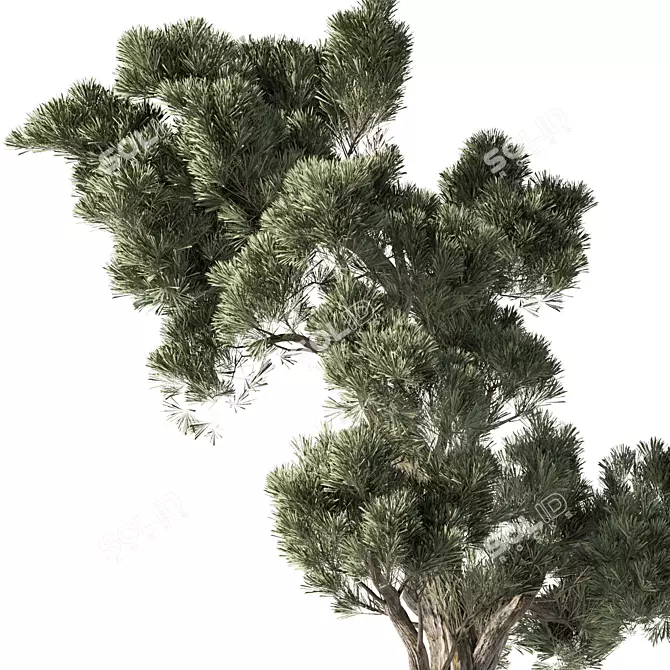 Lush Indoor Plant Set 3D model image 3